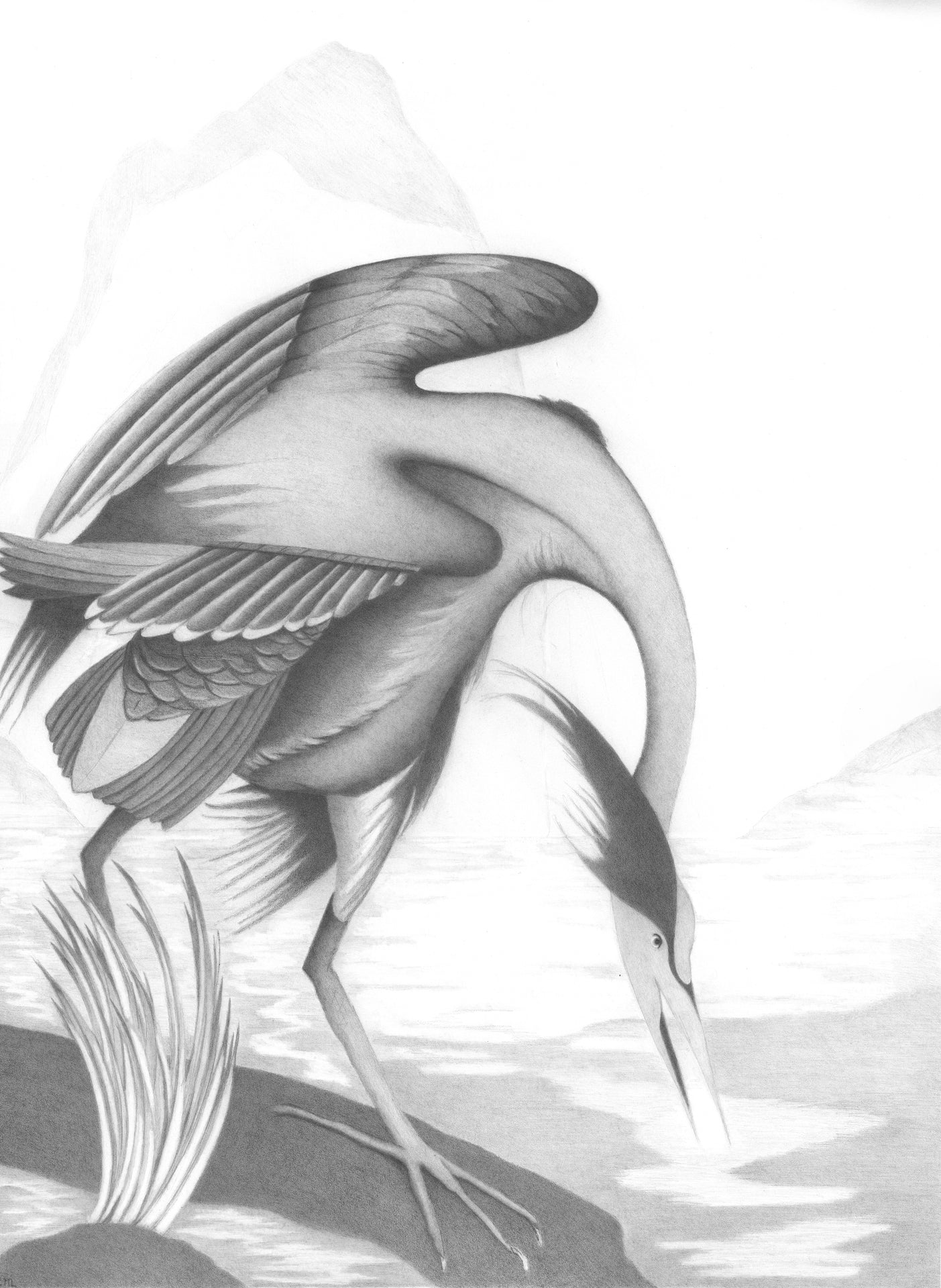 The Heron
