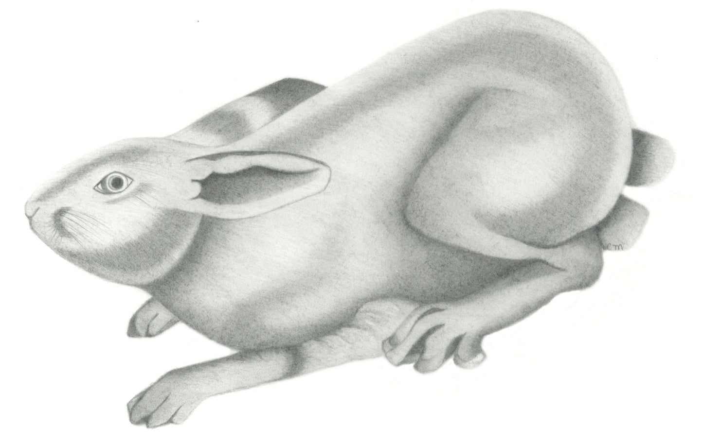 The Hare