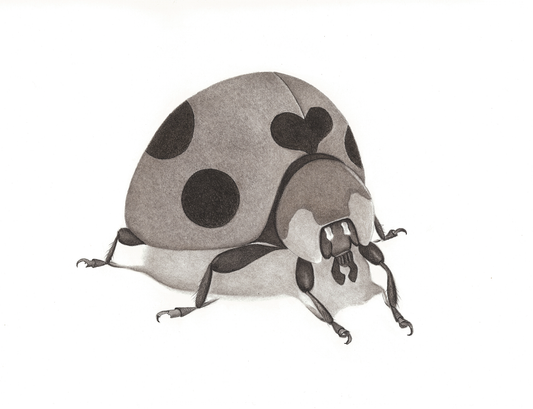 The Ladybug
