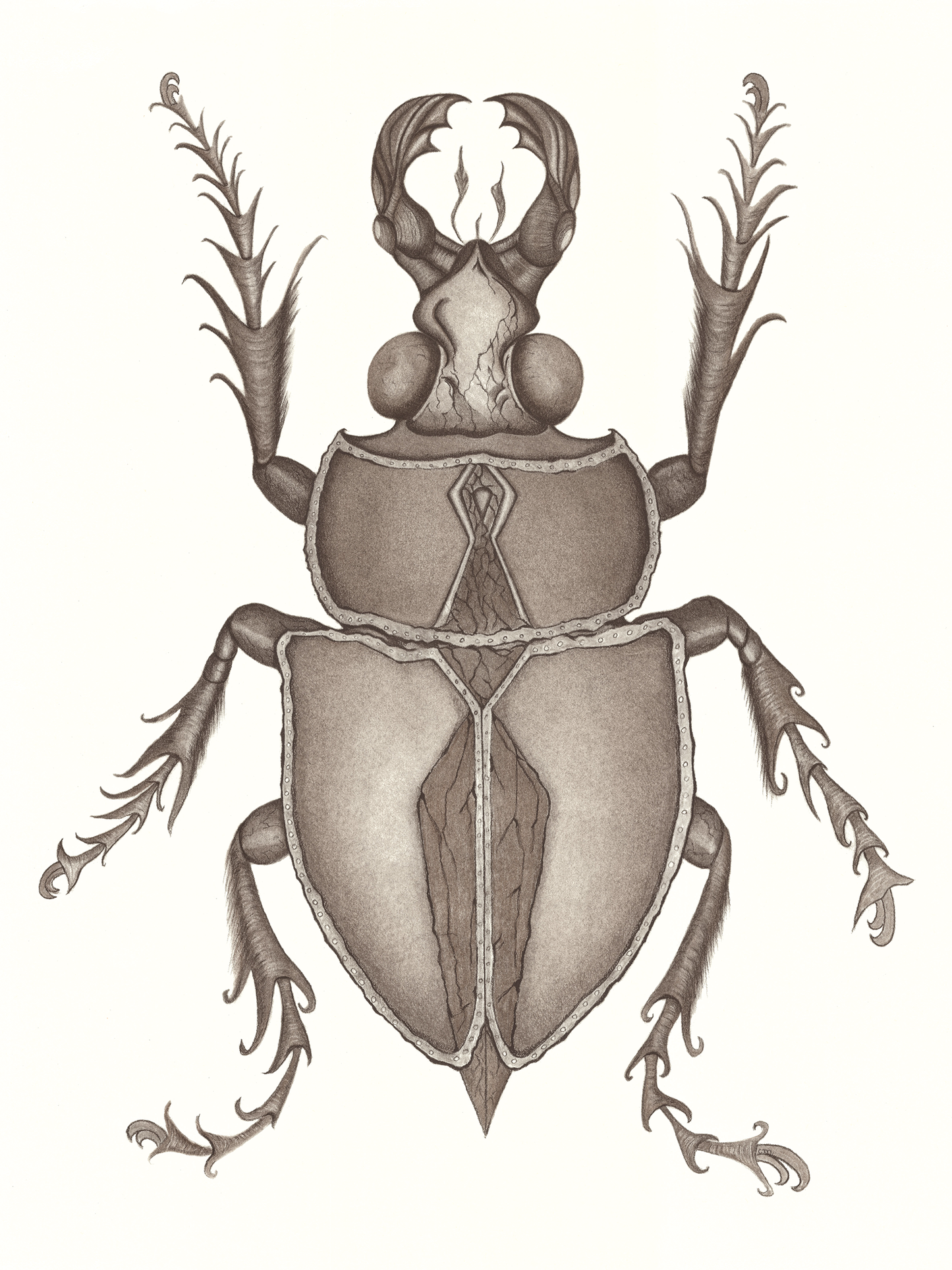 The Scarab