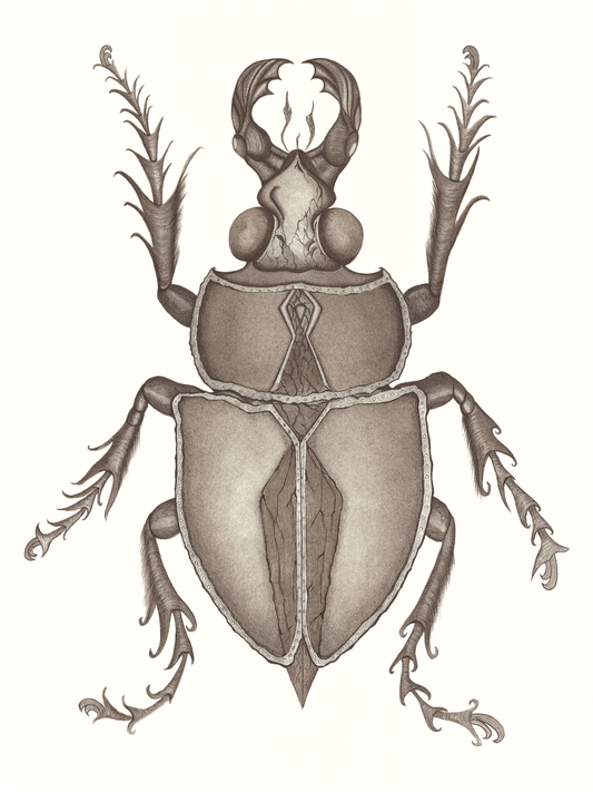The Scarab